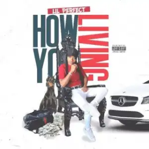 Instrumental: Lil Perfect - How You Livin